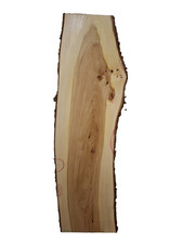 1x Ulme Rüster Bohle Brett