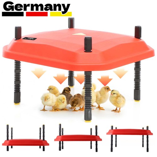 Kükenwärmeplatte