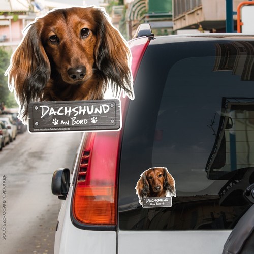 Dachshund bord - dachshund, an