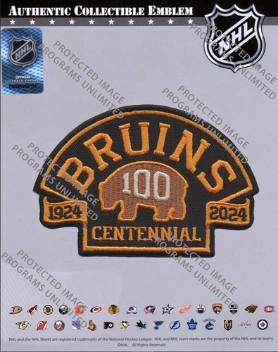2023 2024 nhl boston bruins - 2024,