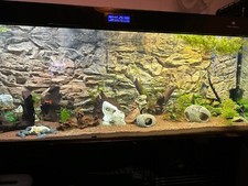 AQUARIUM HINTERGRUND 3D FÜR