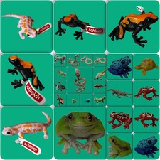 Schleich Reptilien Schlange Frosch Krokodil Schildkröte zum Auswählen #S50