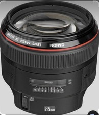 Canon EF 100-400mm Camera Lens