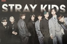 STRAY KIDS - A3 Poster 42x28cm