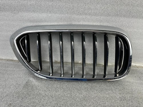 Original bmw 5er g30 - original, niere