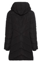 50165745/L2 KANGAROOS