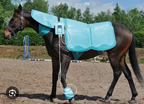 Biomag lumina vet - biomag,