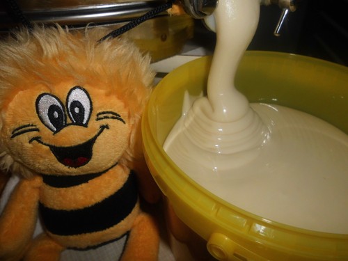 Bienenhonig rapshonig im - bienenhonig,1,
