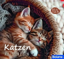 Katzen 2026 | Deutsch |