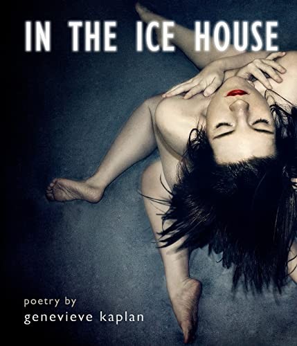 The ice house paperback - in,