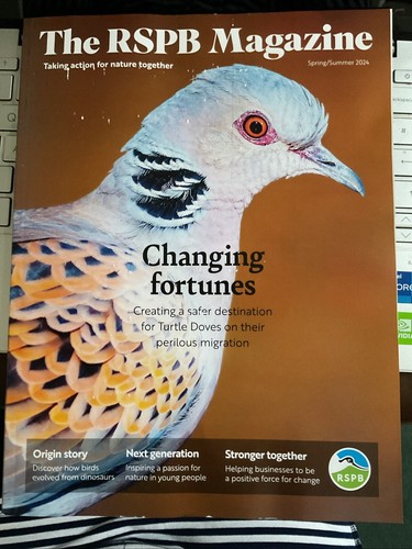 The rspb magazine - rspb,