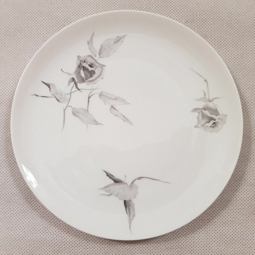Rosenthal continental china - continental,