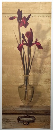 Carmen drude carpe diem iris - carmen,