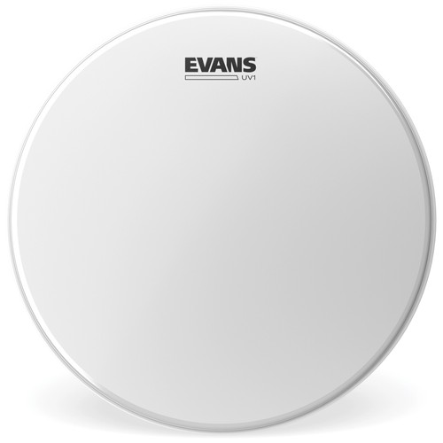 Evans b18uv1 uv1 coated - b18uv1, drum