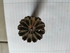 altes antikes Stanzeisen