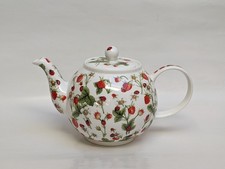 Teekanne Dovedale Jane Fern Dunoon England Erdbeere Marienkäfer Blume fine china