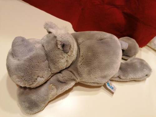 Nici nashorn grau liegend - grau,