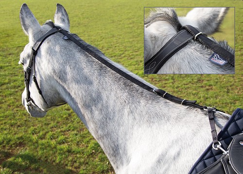 Shires daisy rein - rein, |