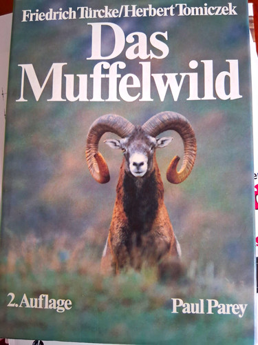 Das muffelwild auflage - das,
