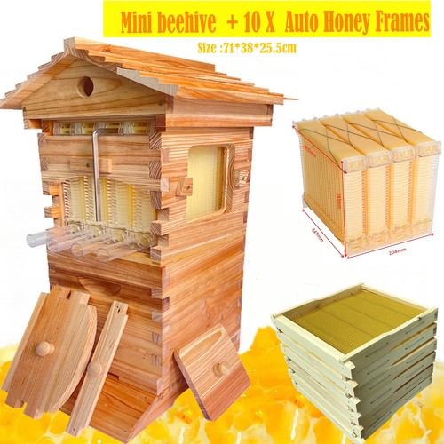 Mini automatisch bienenstöcke - automatisch,