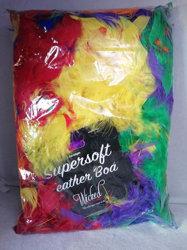 S153 wicked costumes - wicked,