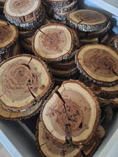 Baumscheiben Holzscheiben