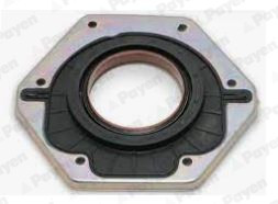 Payen nf885 wellendichtring - payen,