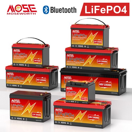 Lifepo4 akku 12v - lifepo4, 12v/24v/48v