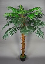 Phönixpalme 140cm ZJ
