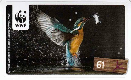 Rewe wwf tier abenteuer - tier,