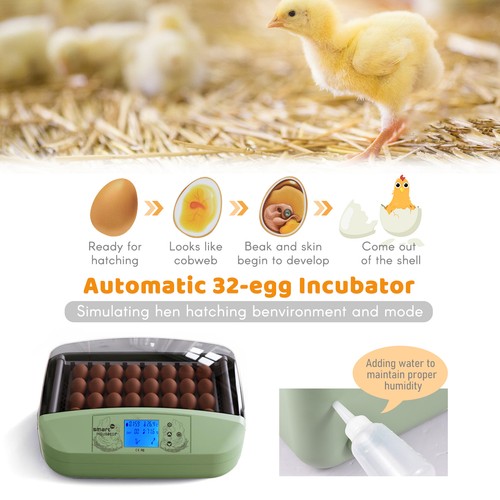 Pcs digital egg incubator - pcs,