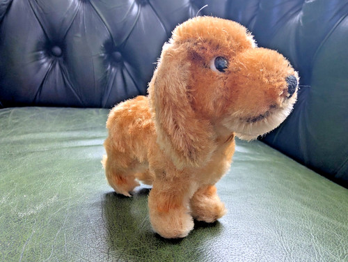 Steiff cocker spaniel cockie - spaniel,