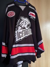 Ice tigers nürnberg authentic - ice,