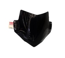 Windschutzscheibe schwarz