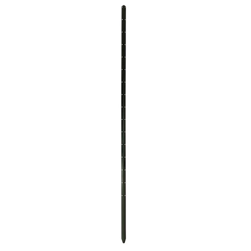 Bellissa pflanzstab timo - timo, 180