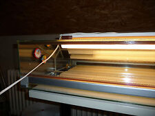 Terrarium 85x30x21cm Eigenbau Rückwand / Oberseite verspiegelt für Dachschräge