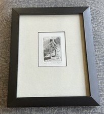 Jack russell terrier engraving - jack,