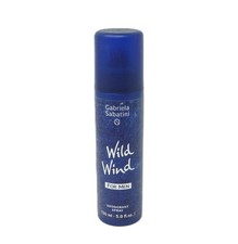 Gabriela sabatini wild wind - sabatini,