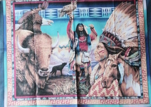 Indianer motive panel - indianer,