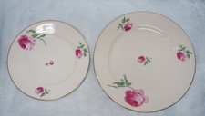 Thomas Bavaria, rote Rose