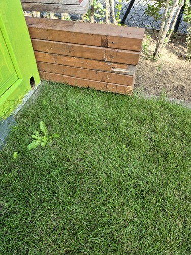 Dachbalken komplettpreis - 5,