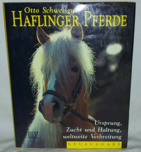 Haflinger pferde - haflinger,