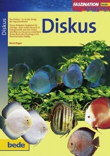Diskus - , aquarium)