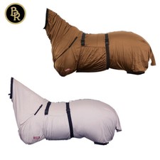 BR Ekzemerdecke Shetty Fohlen