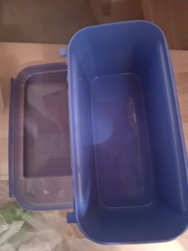 Tupperware bellevue ltr - tupperware, 2,6