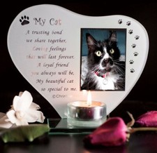 Katze Foto T Licht Gedenktafel