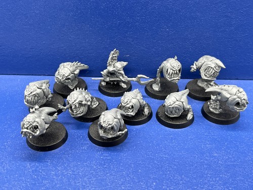 Squigs herder squig - +,