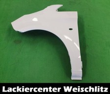 KOTFLÜGEL VORN LACKIERT IN