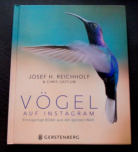 Neu vögel auf instagramm - neu, ~