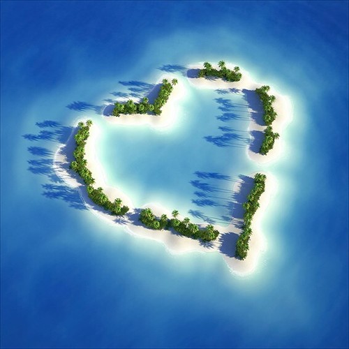 Spartip glasbild pro art - ,